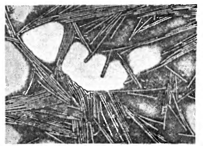 Электронная микрофотография вирусов табачной мозаики, онн имеют форму палочки.
